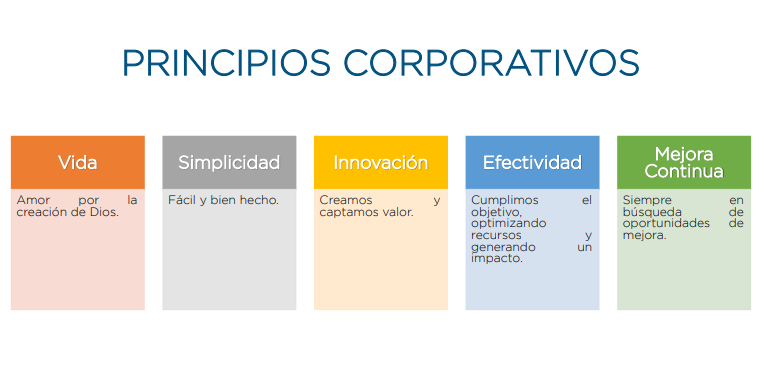 Principios corporativos